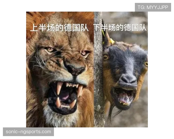 琼阿梅尼 vs 基米希：中场全能性与战术角色差异分析